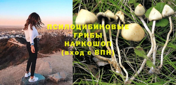 mdpv Алзамай