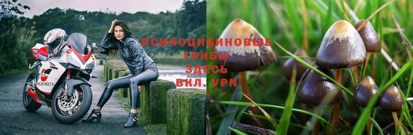 Альфа ПВП Каменка