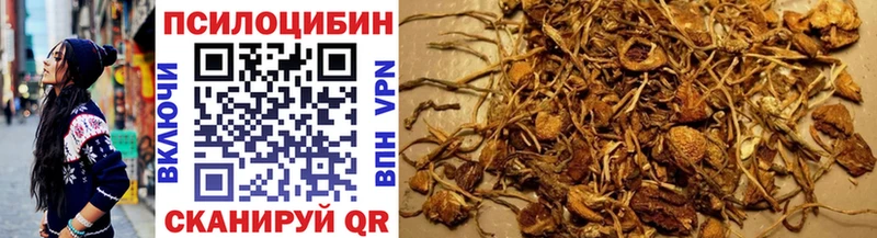 Псилоцибиновые грибы Magic Shrooms  наркота  Лиски 